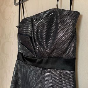 Strapless Silver Max and Cleo Dress